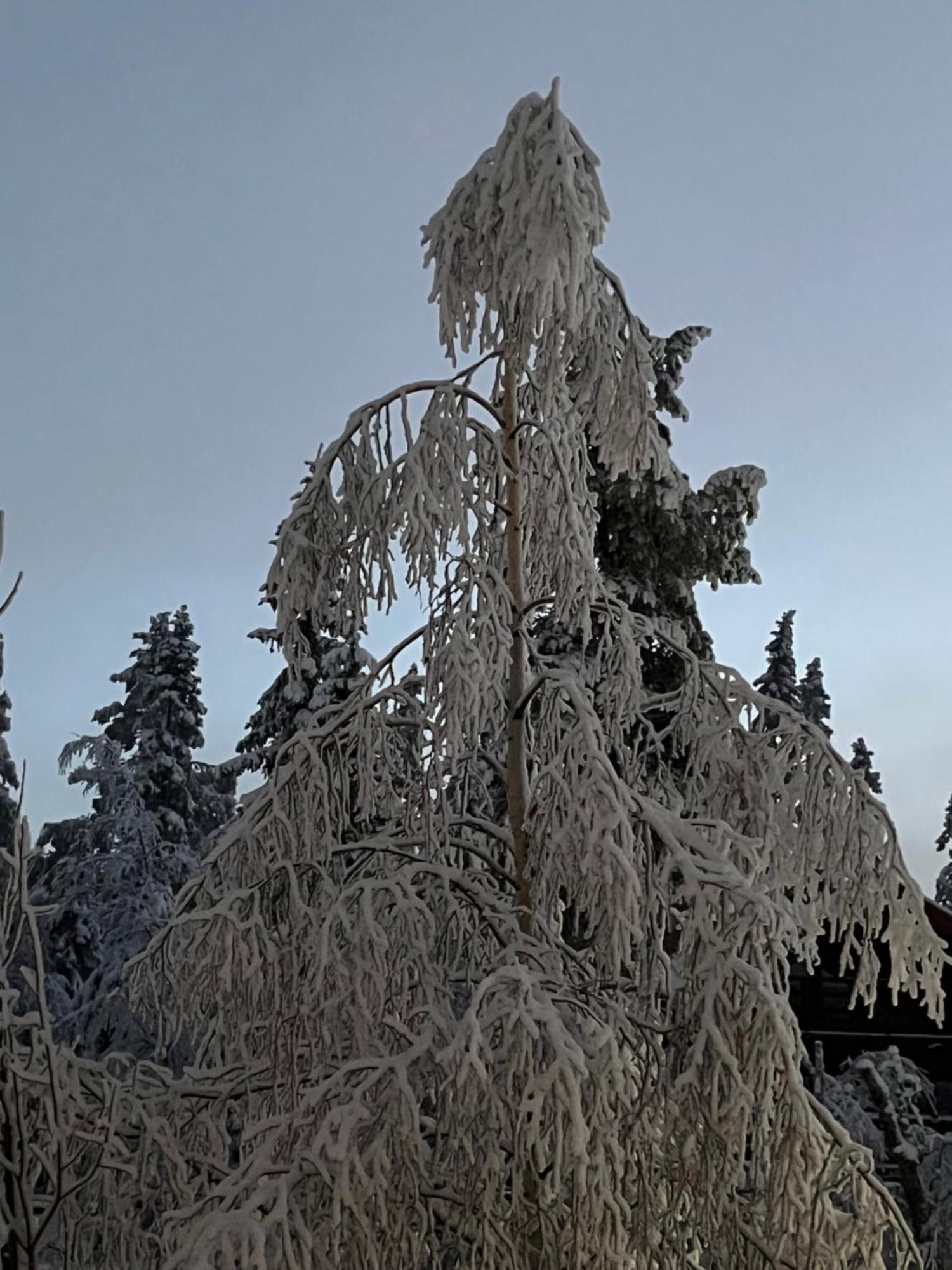 Idre Fjaell, Soederbyn Ski In Ski Out, 30 M Till Pisten Zewnętrze zdjęcie